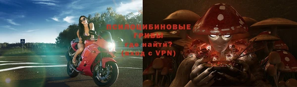молекула духа Алзамай