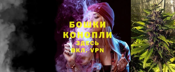молекула духа Алзамай