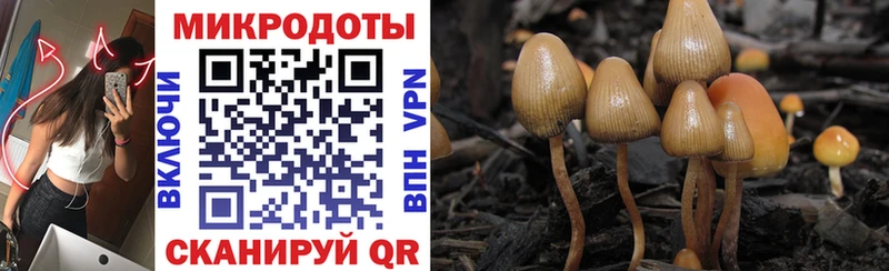 Галлюциногенные грибы прущие грибы  Усолье-Сибирское 